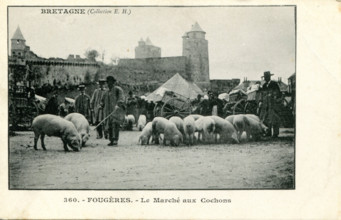 Fougères