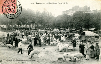 Rennes