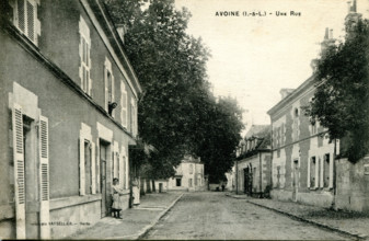 Avoine