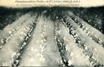 Cinq-Mars-La-Pile