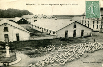 Rillé