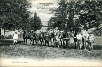 Caillouet-Orgeville