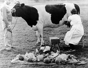Automatic milking and distributing machine for several babies at once
