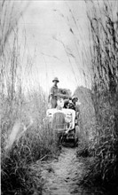 The Citroën "Black Cruise":  in the high grass near Chad  on December 10, 1924