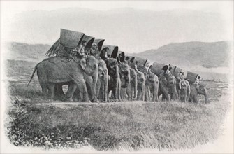 Indochine. Caravane d'éléphants (1905)