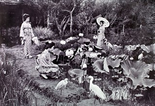 Japon. Femmes près de l'étang aux lotus (1907)