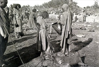 Ethiopia. Filling water skins with water drawn from the Oua Lenkité watering place (1921)
