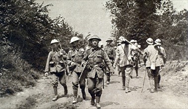 Première Guerre Mondiale. Sur le front de la Somme, chemin de liaison entre les armées alliées.