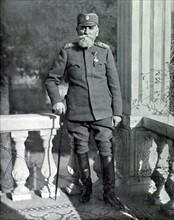Portrait du roi Pierre 1er de Serbie (1917)