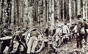 Première Guerre Mondiale. Sur le front de Champagne, pièce de 95 traînée à force de bras en forêt