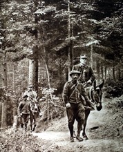 Première Guerre Mondiale. En Alsace, conduits par des muletiers, les généraux Joffre et Dubail, à dos de mulet, se rendent à un observatoire en forêt (1915)
