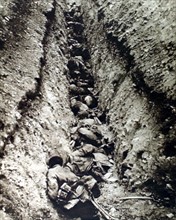 Première Guerre Mondiale. Cadavres dans une tranchée allemande