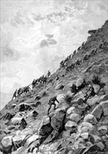 War of the Transvaal. English artillerymen dragging cannon up the Coleskop (1900)