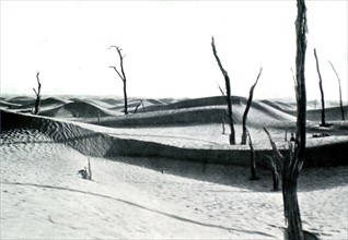 In Chinese Turkistan, the desert encroaching on previously fertile lands (1930)