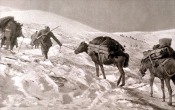 Baba Mountains. Supplies arriving by mule for the  Italian and French posts on hills 2200 and 2220 (1917)