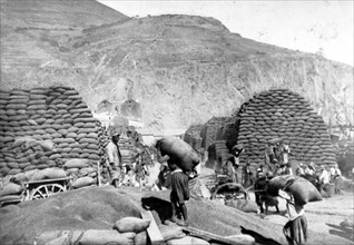 Export of Algerian wheat from Oran towards France (1910)