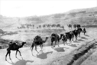 On the Greek-Turkish front of Anatolia. 
Supplying caravan for the Greek army  (1922)