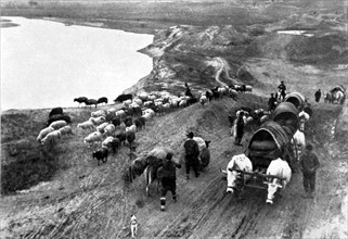 Guerre des Balkans.
Autour d'Andrinople, le ravitaillement des troupes bulgares qui investissent la ville, en 1912.