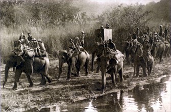Le prince de Galles à la chasse au tigre au Népal, en 1922.