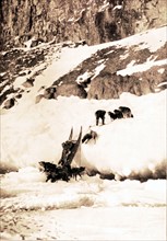 Conquête du pôle nord. Dans les glaces du Groënland, un traîneau de l'expédition Lange Koch sur la banquise de la côte nord, par 82° de latitude (1923)