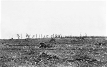 Champ de bataille dans la région des Hurlus (Marne), 1915