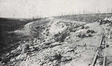 The ravine of the dead in Douaumont