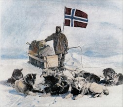 1911 / Pôle sud.