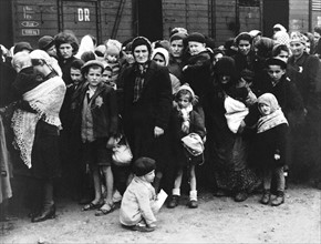 Women and children, Auschwitz, 1944
