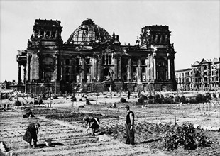 1946 / Germany / Vegetable gardening in front of the Berlin Reichstag