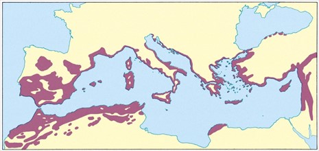 Carte représentant la flore de la Méditerranée