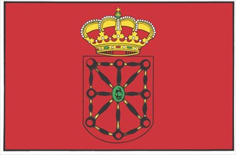 Flag of the province of Navarra