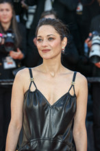 Marion Cotillard