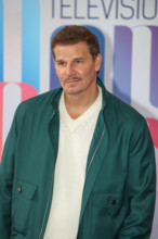 David Boreanaz