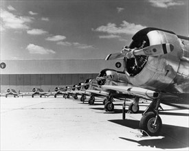 American North American T-6 Texan or Harvard training planes