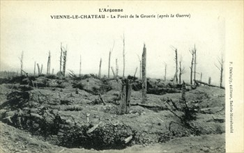 The Gruerie woods after WWI