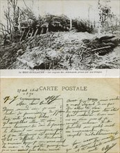 German trench in the Champagne region, 1915