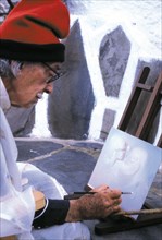 Salvador Dali painting 'The Gaseous Swan'