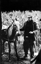 Che Guevara (1928-1967) in the Sierra