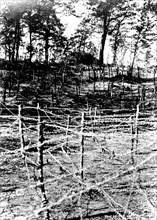 Bois de la Génerie: barbed wire everywhere