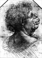 De Vinci, A Grotesque Head