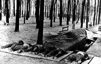 Liberation of France: Peace officers shot by German soldiers
