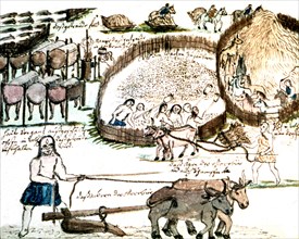 Illustration de Florian Baucke (1749-1767). Zwettler Codex. Vie des indiens Guaranis vue par un père jésuite