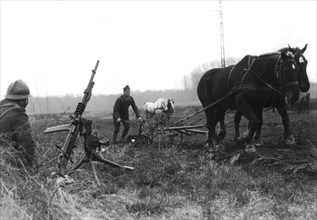 Soldiers ploughing a field near the Maginot line (1940)