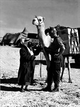 Troops of the U.N.E.F receiving food carried by camels