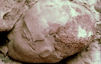 Crâne en provenance de Jéricho sur lequel sont modelés, les traits de l'homme vivant