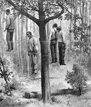 Lynching scene in the United States. 4 blacks hung