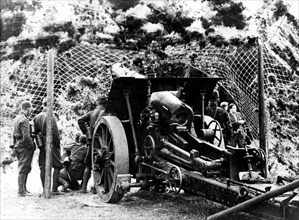 Military operations. 150 mm camouflaged cannon in action in the country