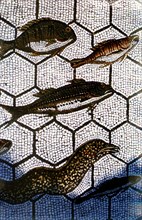 Roman mosaic. Fishes