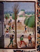 Pierre de Crescens, Book of Farming Works