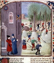 Pierre de Crescens : Livre des prouffitz champestres et ruraux